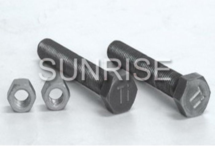 Titanium Screws and Nuts